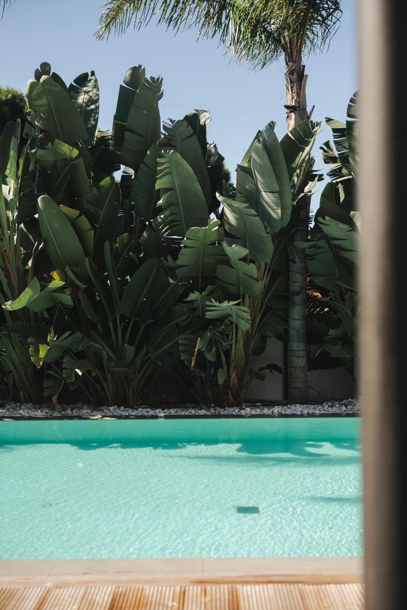 Casa Cuatro Boutique Hotel - Adults Recommended Novo Sancti Petri Extérieur photo